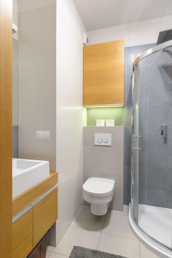 Dabrowskiego Apartment Πόζναν Εξωτερικό φωτογραφία